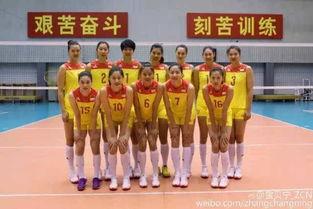 揭秘：中国女排队员到底各是什么“师”职？你猜中了没？