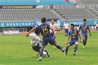 2005年全国业余足球联赛全国总决赛「足球总决赛精彩集锦」