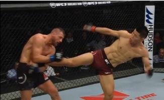 新的中国UFC选手：谁能一拳惊天下？
