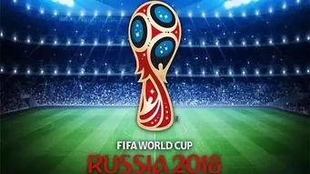 2022世界杯总决赛粉丝,世界杯今晚球赛怎么看