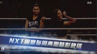 wwe何塞出场让 送葬者 都嫉妒的 心碎小子 ,WWE历史上首位大满贯得主
