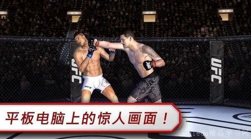 揭秘UFC格斗训练动作，带你秒变战斗狂人！
