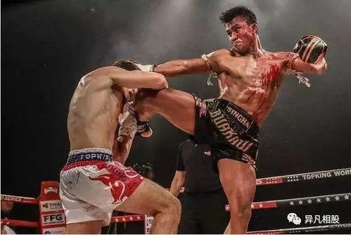 为什么UFC不戴拳击手套？真相竟然有点意思！