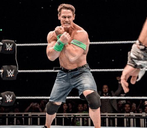 谁能介绍一下WWE里各个人物的终结技,锁技 详细点...(wwe约翰塞纳和巨兽pk)
