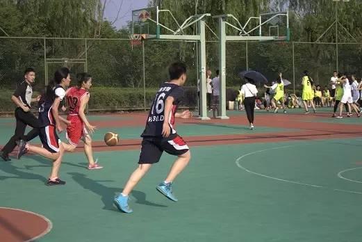 2010年台湾女篮主教练揭秘：那些年球场上的“辣妈”教头们