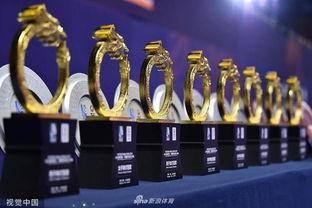 羽毛球年终总决赛半决赛抽签——瓜分奖杯的前奏战！