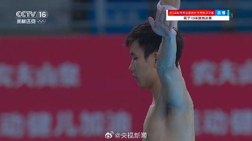跳水世界杯总决赛裁判阵容,跳水的评判标准是什么