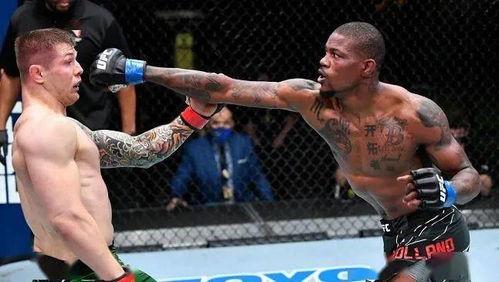 霍兰德UFC李景亮：当荷兰巧遇中国，“拳”笑江湖起风云