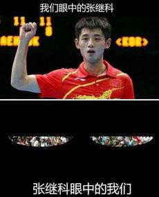 张继科打奥运会困了？这背后的真相竟然是…