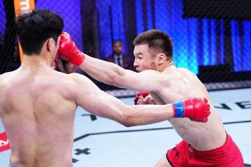 中国选手去UFC：高手集结，打得你眼花缭乱！