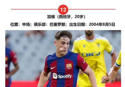 内蒙古女篮主教练排名大揭秘：谁才是真正的“教练界扛把子”？