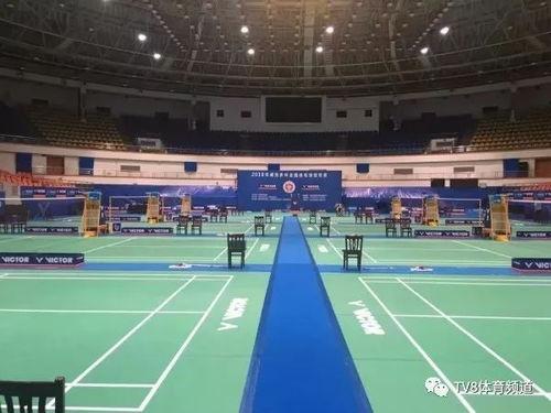 全国羽毛球*赛比赛时间,天王杯国际羽毛球公开赛开赛时间表