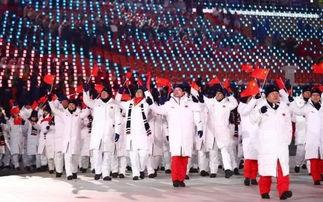 北京冬奥会开幕式中国方队：一场冰雪盛宴的亮点全解密
