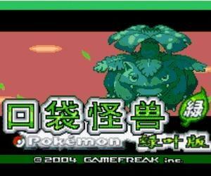 口袋妖怪叶绿「知趣火箭队11号」